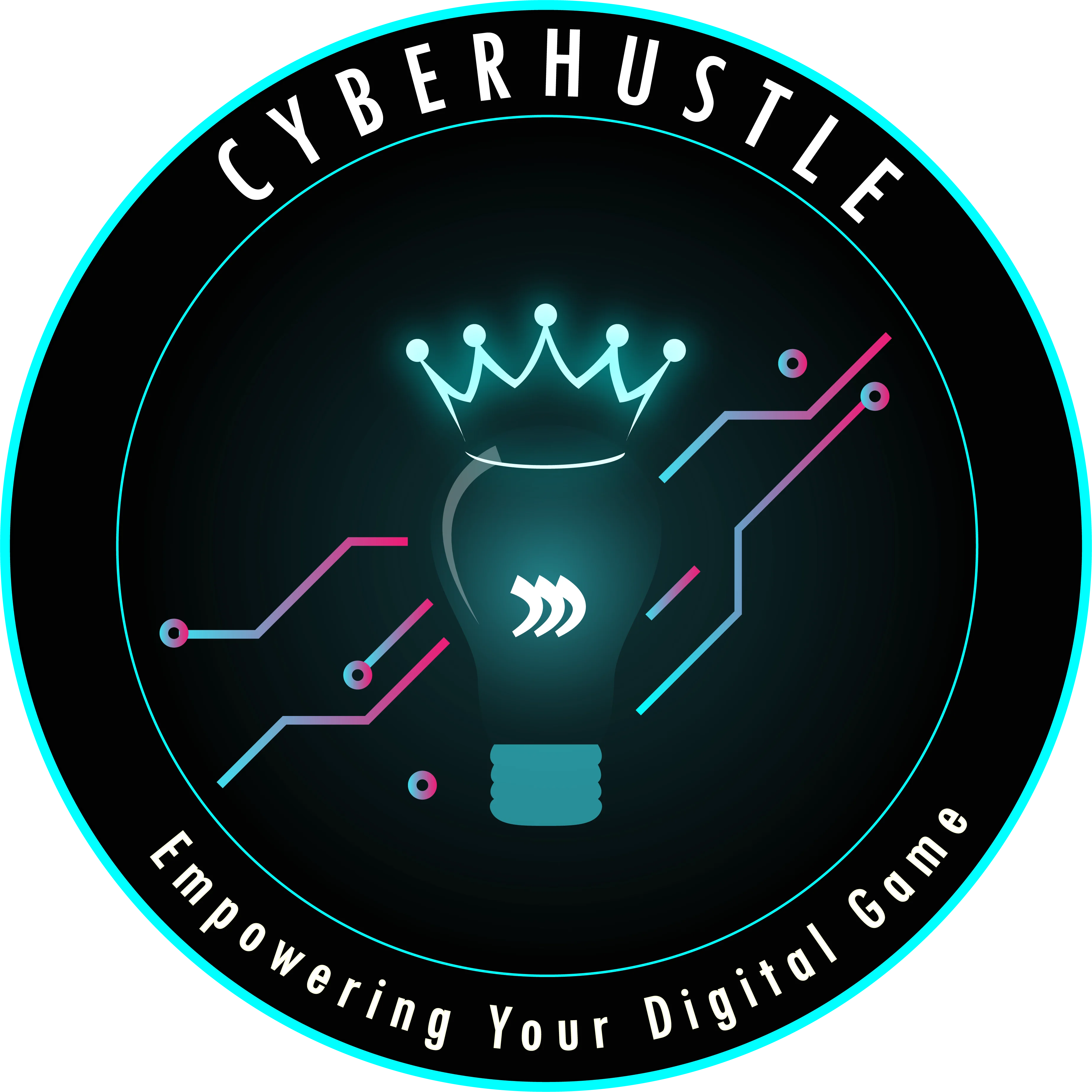 Cyber Hustle